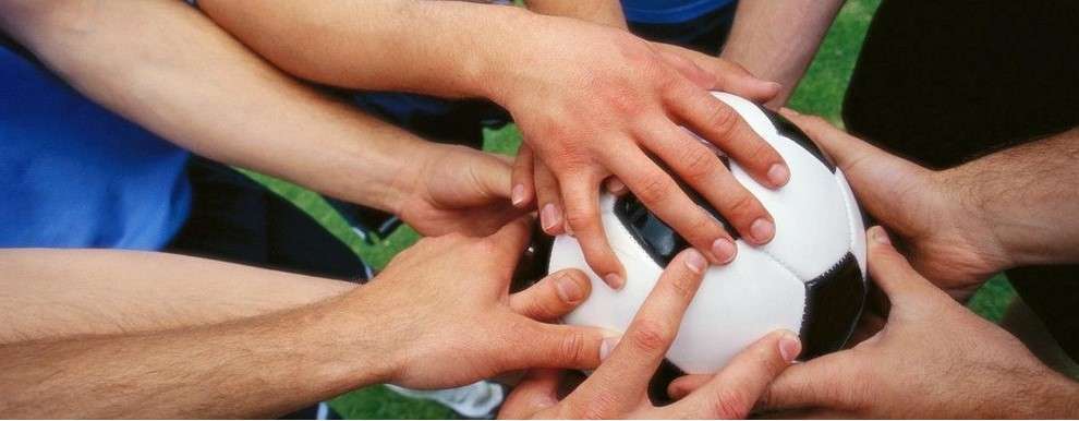 BASES are now featuring in the Careers in Sport Directory