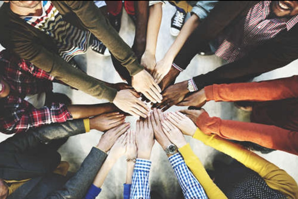 Request to identify Athena Swan / Race Equality Charter Mark advisors / critical friends